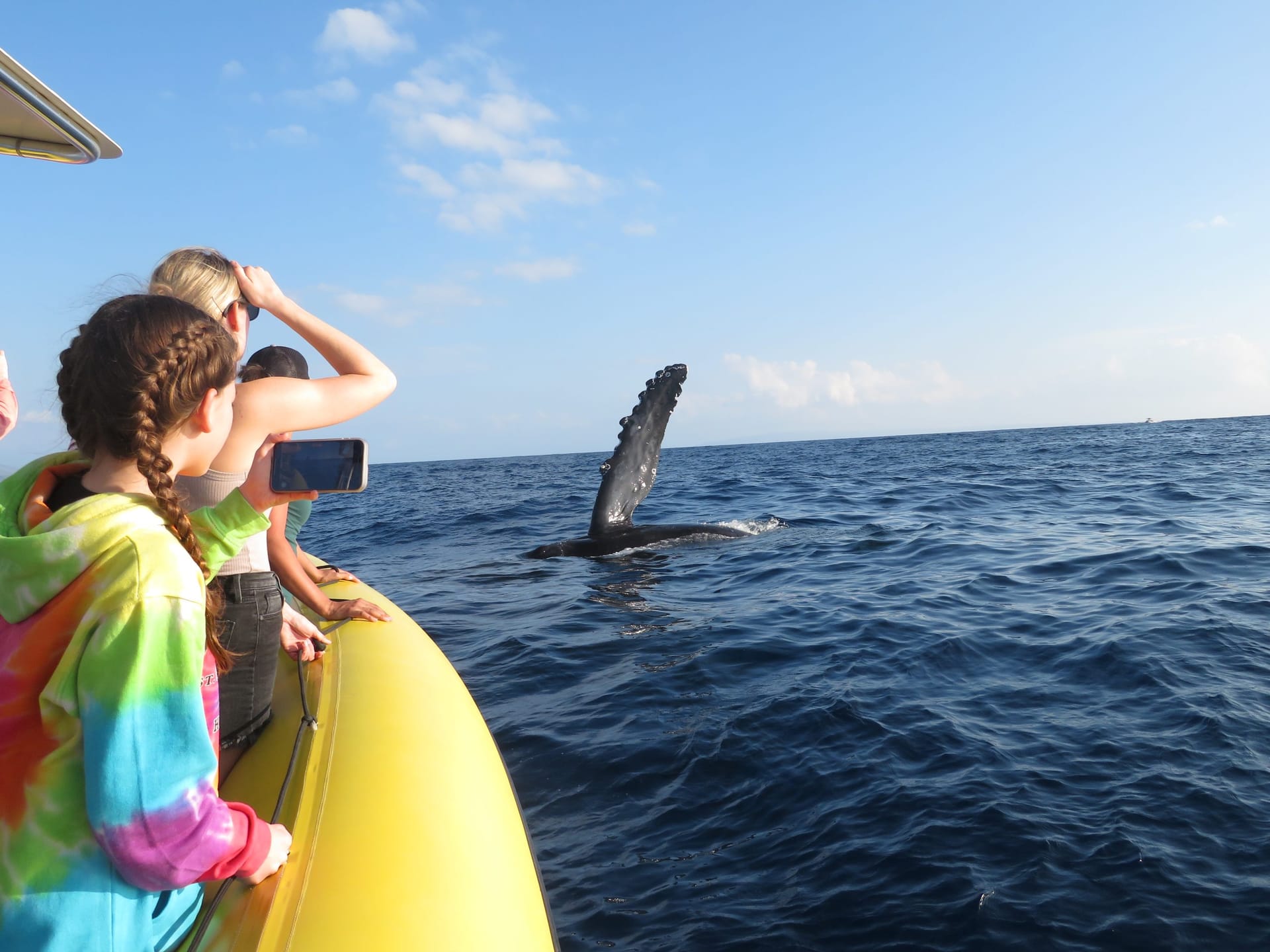 Guests photographing a humpback whale fluke from the rail of Hoku