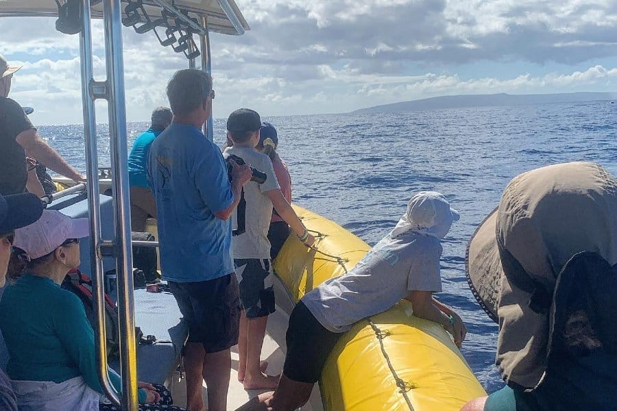 Guests aboard Hoku scanning the horizon for humpback whales off Maui