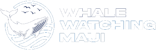 Go Whale Watching Maui